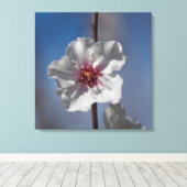 Witte amandelbloem Botanische fotografie Canvas Afdruk (Insitu (Houten vloer))