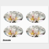 Witte amandelbloesems Sticker (Vel)
