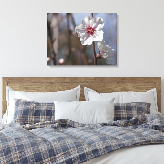 Witte amandelventilator - Natuurlijke lente licht  Canvas Afdruk (Insitu (Slaapkamer))