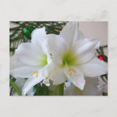 Witte amaryllis en kerstboom briefkaart (Voorkant)