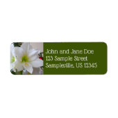 Witte amaryllis en kerstboom etiket (Voorkant)