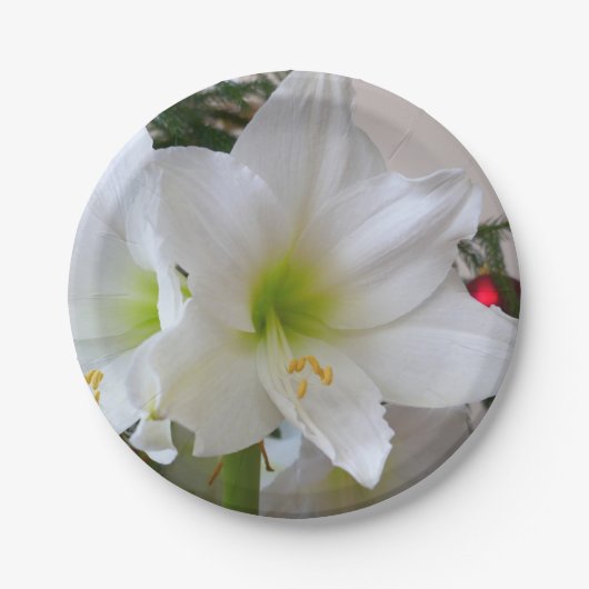 Witte amaryllis en kerstboom papieren bordje (Voorkant)