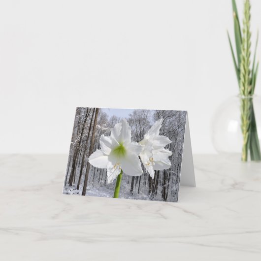 Witte amaryllis en sneeuw I Feestdagen Kaart (Voorkant)