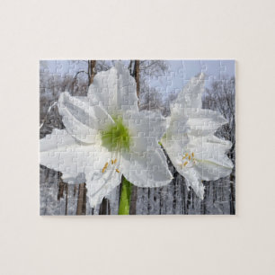 Witte Amaryllis en Sneeuw II Legpuzzel