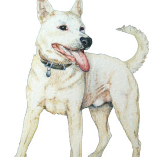 Witte Amerikaanse knuppels T-shirt