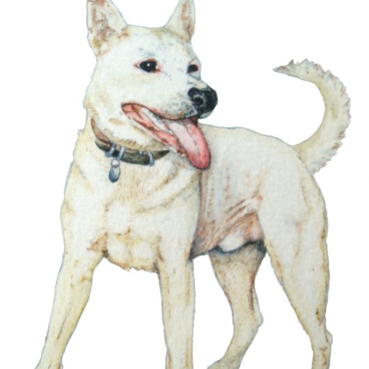 Witte Amerikaanse knuppels T-shirt