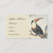 Witte Amerikaanse Toucan  Waterverf Visitekaartje (Achterkant)