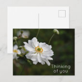 Witte Anemone Garden Flowers Denken aan je Briefkaart (Voorkant / Achterkant)