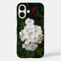 Witte anjerbloemen