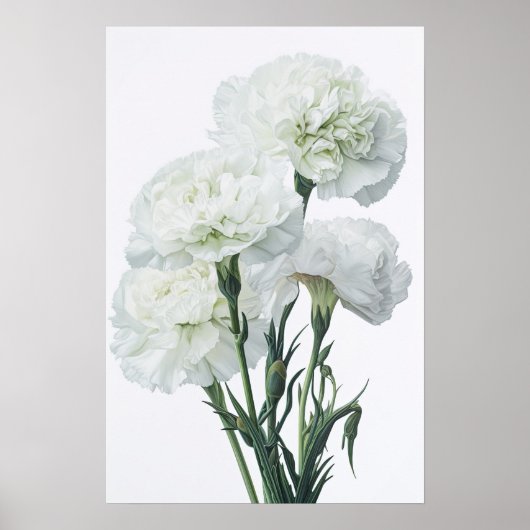Witte anjers Bloemen Art Print Poster (Voorkant)
