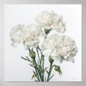 Witte anjers Bloemen Art Print Poster (Voorkant)