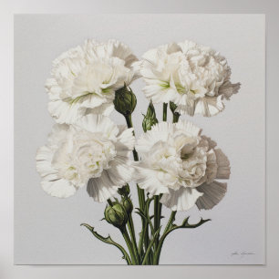 Witte anjers Bloemen Art Print Poster
