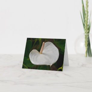 Witte Anthurium Note Kaart