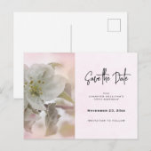 Witte Apple Blossom Foto sparen de Datum Uitnodiging Briefkaart (Voorkant / Achterkant)