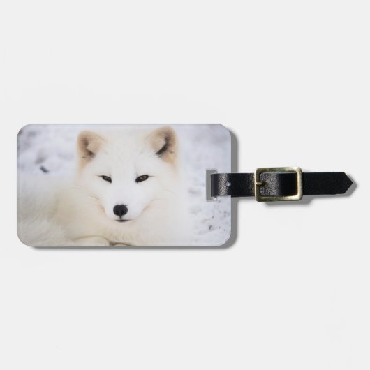 Witte arctische vos sneeuw leuk dier persoonlijk bagagelabel (Voorkant horizontaal)