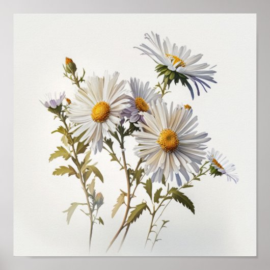 Witte Aster Bloem Art Print Poster (Voorkant)