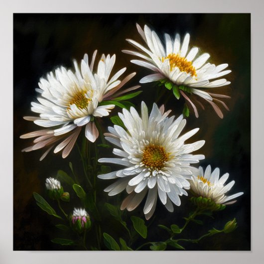 Witte Aster Bloem Art Print Poster (Voorkant)