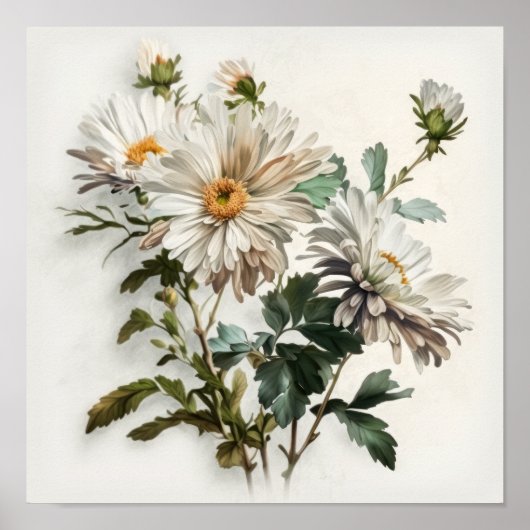 Witte Aster Bloem Art Print Poster (Voorkant)