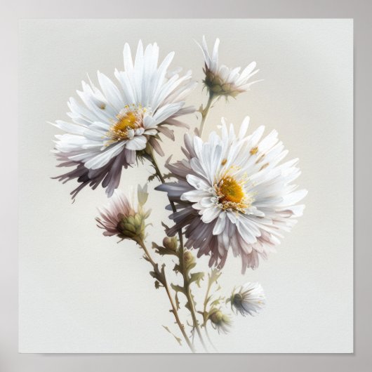 Witte Aster Bloem Art Print Poster (Voorkant)