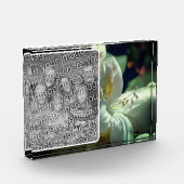 Witte azalea bloem Creëer uw eigen Fotoblokken (Links)