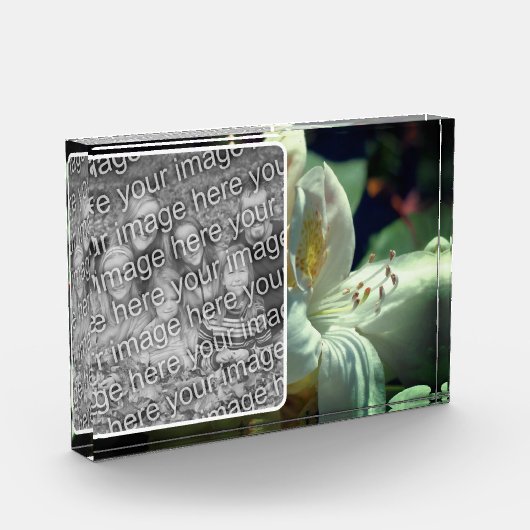 Witte azalea bloem Creëer uw eigen Fotoblokken (Links)