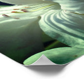 Witte azalea bloem en topspiegel Abstract Poster (Hoek)