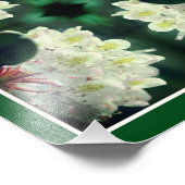 Witte azalea bloem met regendruppels Abstract 8x10 Foto Afdruk (Hoek)