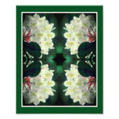 Witte azalea bloem met regendruppels Abstract 8x10 Foto Afdruk (Voorkant)