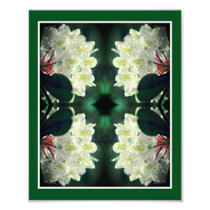 Witte azalea bloem met regendruppels Abstract 8x10 Foto Afdruk