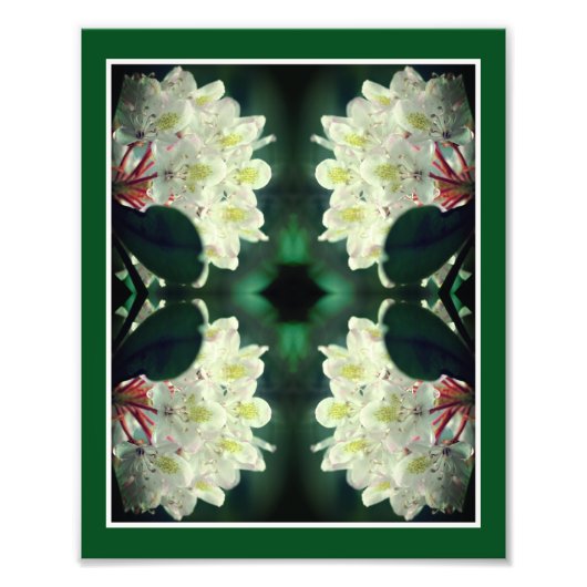 Witte azalea bloem met regendruppels Abstract 8x10 Foto Afdruk (Voorkant)