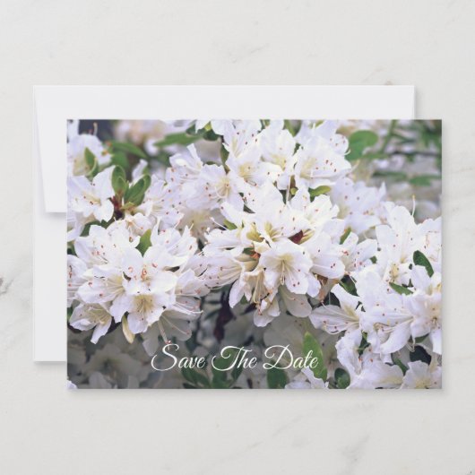 Witte Azalea Platte Save The Date Kaart (Voorkant)
