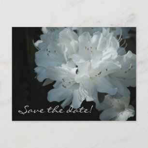 Witte Azalea's Save the Date Briefkaart