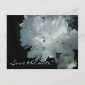 Witte Azalea's Save the Date Briefkaart (Voorkant)