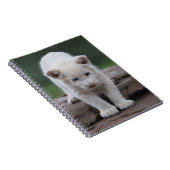 Witte baby leeuwenkub notitieboek (Rechterzijde)