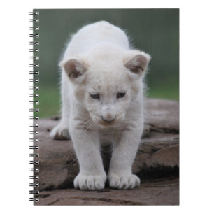 Witte baby leeuwenwelp notitieboek