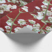 Witte Baby's Breath w/Red Cadeaupapier (Hoek)