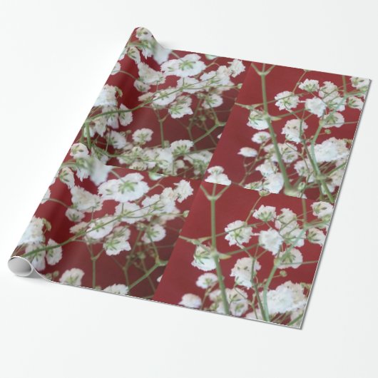 Witte Baby's Breath w/Red Cadeaupapier (Uitgerold)