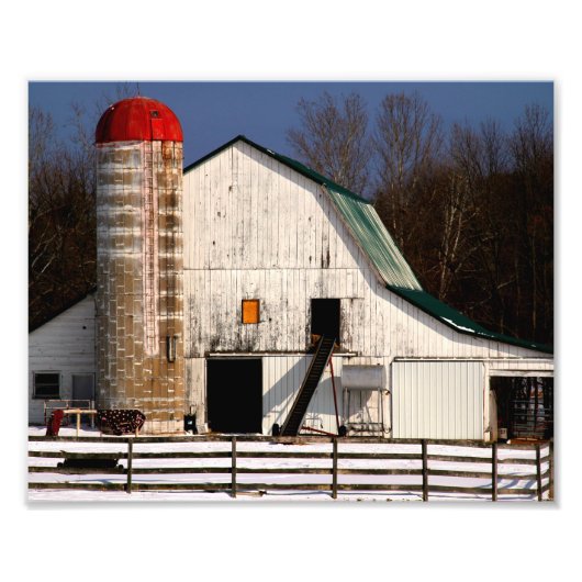 Witte Barn en Red Silo Foto Afdruk (Voorkant)