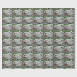 Witte Barok Ezel Cadeaupapier