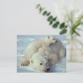 Witte Beer Briefkaart (Staand voorkant)