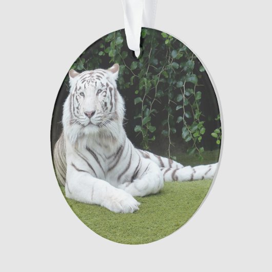 witte bengaalstijger ornament (voorkant)