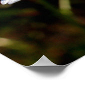 Witte benzine poster (Hoek)