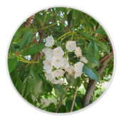 Witte Berg Laurel Groene bladeren Keramische Knop (Voorkant)