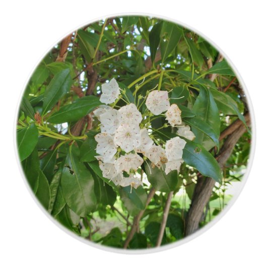 Witte Berg Laurel Groene bladeren Keramische Knop (Voorkant)