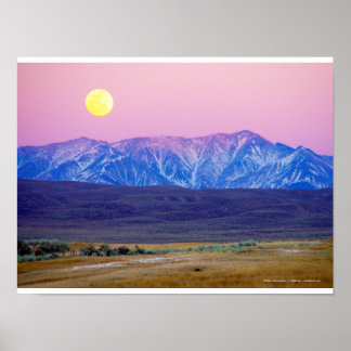 Witte bergen, Californie, Etats-Unis Poster