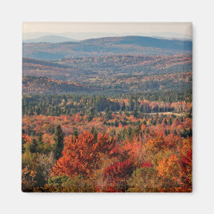 Witte Bergen Nationaal Bos New Hampshire Magneet