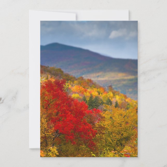 Witte bergen Nationaal Woud (Voorkant)