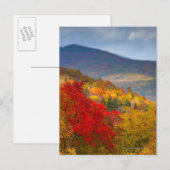 Witte bergen Nationaal Woud Briefkaart (Voorkant / Achterkant)