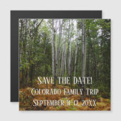 Witte berken en herfstvarens bij Rocky Mountain (Voorkant / Achterkant)