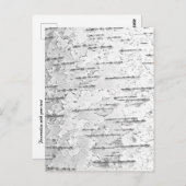 Witte berkenbast foto Briefkaart (Voorkant / Achterkant)
